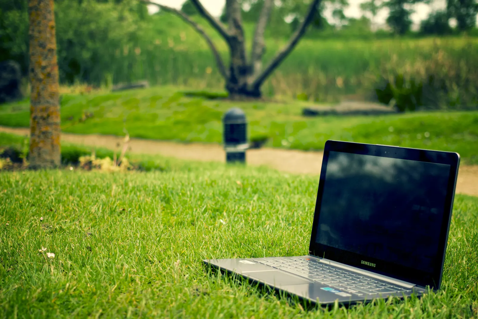 Employee using a laptop from an approved field or remote work location